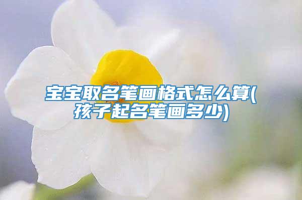 宝宝取名笔画格式怎么算(孩子起名笔画多少)