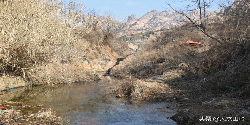 树生风水宝地――东山张