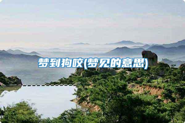 梦到狗咬(梦见的意思)