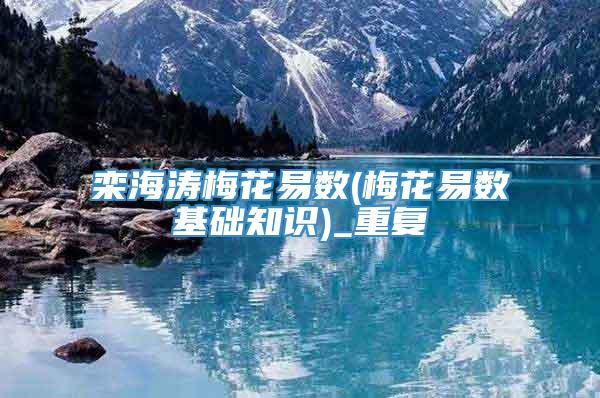 栾海涛梅花易数(梅花易数基础知识)_重复