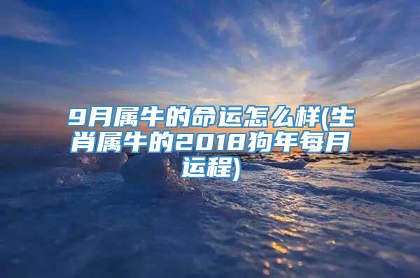 9月属牛的命运怎么样(生肖属牛的2018狗年每月运程)