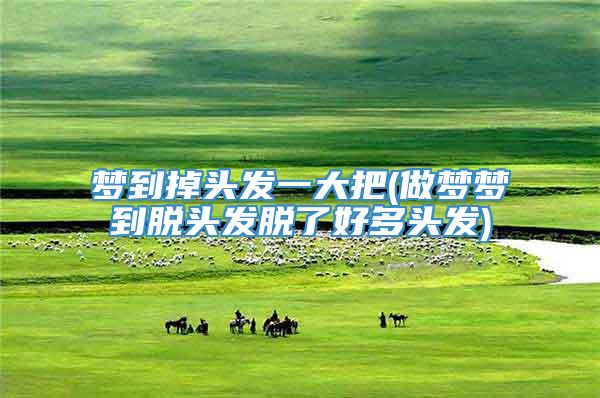 梦到掉头发一大把(做梦梦到脱头发脱了好多头发)