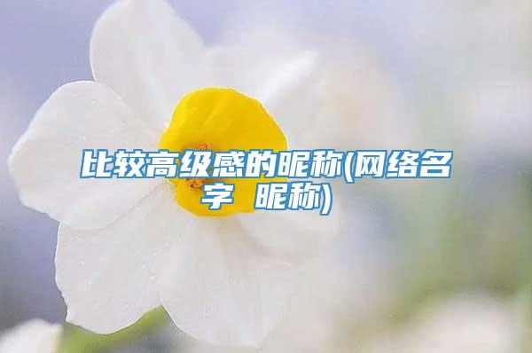 比较高级感的昵称(网络名字 昵称)