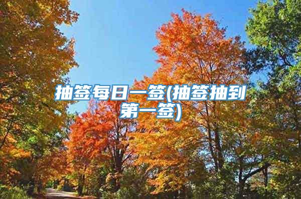 抽签每日一签(抽签抽到第一签)