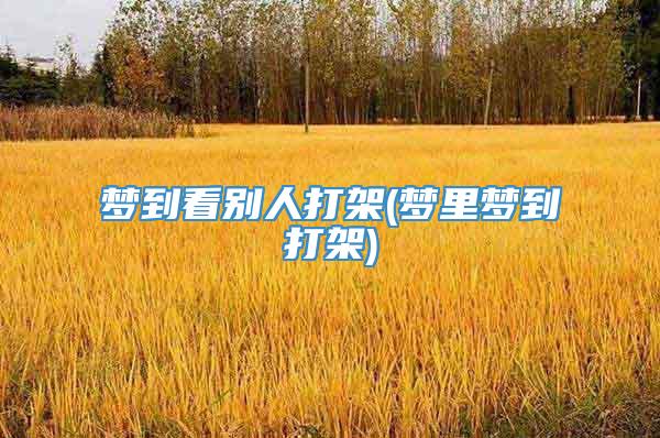 梦到看别人打架(梦里梦到打架)