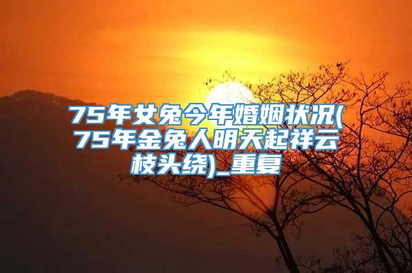 75年女兔今年婚姻状况(75年金兔人明天起祥云枝头绕)_重复