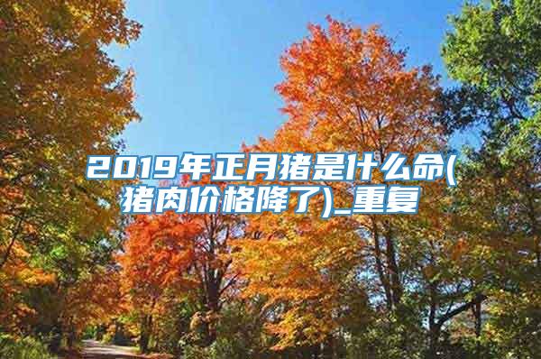 2019年正月猪是什么命(猪肉价格降了)_重复