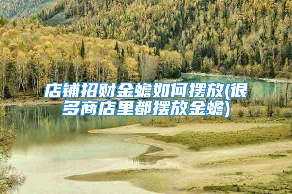 店铺招财金蟾如何摆放(很多商店里都摆放金蟾)