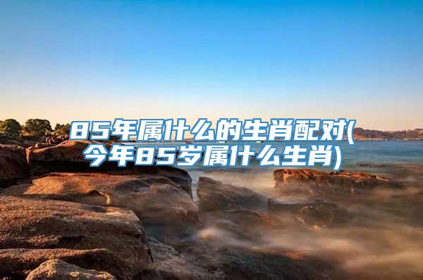 85年属什么的生肖配对(今年85岁属什么生肖)