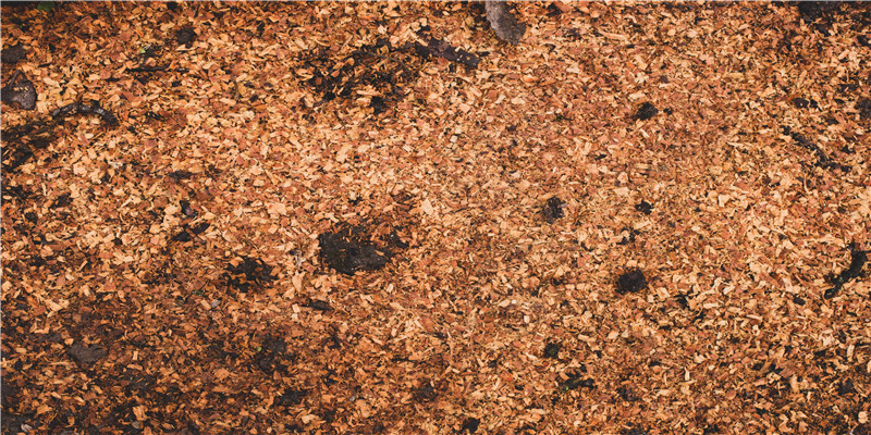 2022运势大洗牌,这三大星座财运即将炸裂