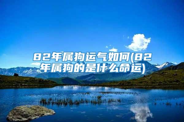 82年属狗运气如何(82年属狗的是什么命运)