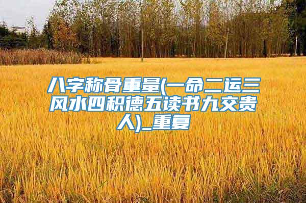 八字称骨重量(一命二运三风水四积德五读书九交贵人)_重复
