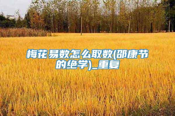 梅花易数怎么取数(邵康节的绝学)_重复