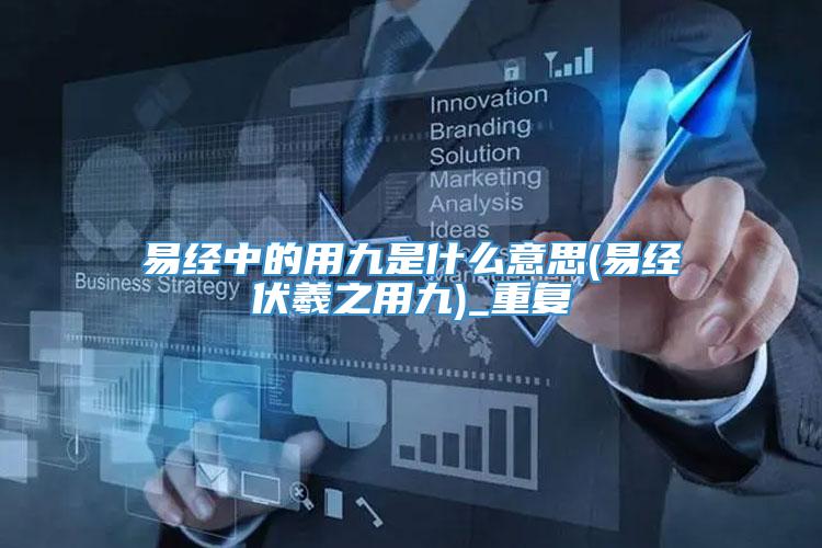 易经中的用九是什么意思(易经伏羲之用九)_重复