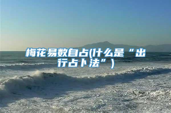 梅花易数自占(什么是“出行占卜法”)
