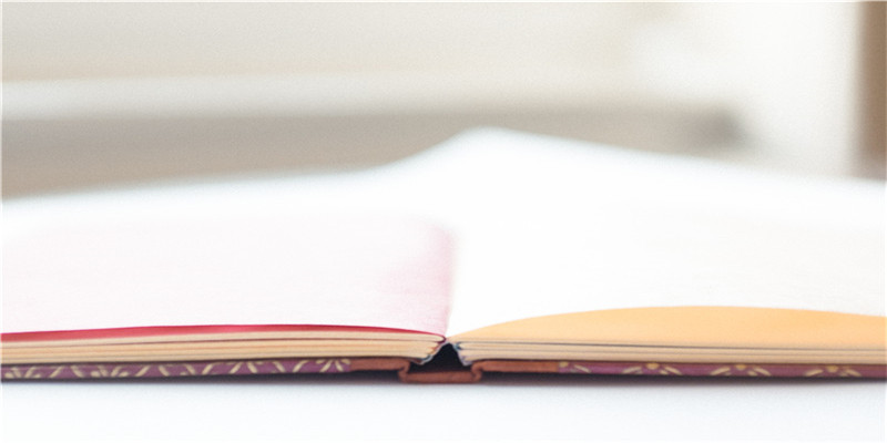 蓬佩奥大玩花拳绣腿提升形象，剑指2024总统竞选，毫无羞耻感