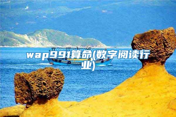 wap991算命(数字阅读行业)