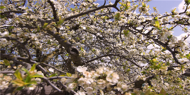 80年代父辈迷恋的“挂历女神”，有人曾被批捕，有人身家破亿
