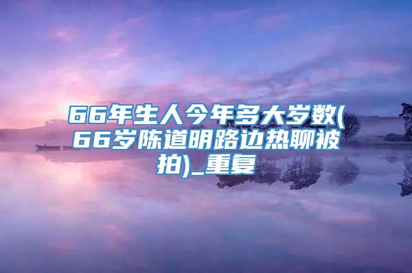 66年生人今年多大岁数(66岁陈道明路边热聊被拍)_重复