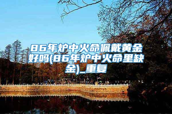 86年炉中火命佩戴黄金好吗(86年炉中火命里缺金)_重复