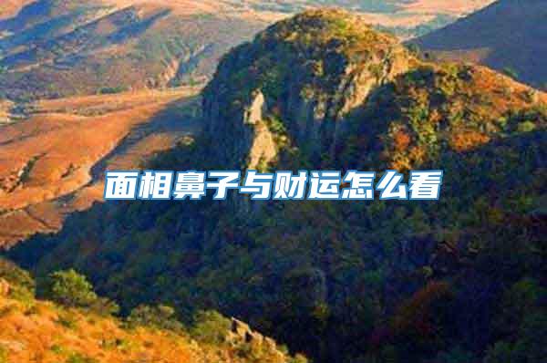 面相鼻子与财运怎么看