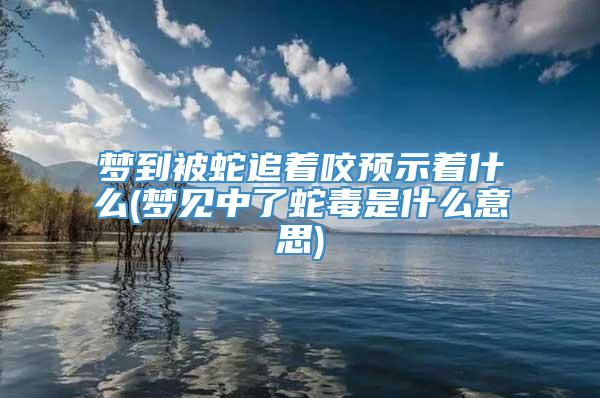 梦到被蛇追着咬预示着什么(梦见中了蛇毒是什么意思)