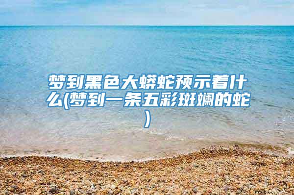梦到黑色大蟒蛇预示着什么(梦到一条五彩斑斓的蛇)