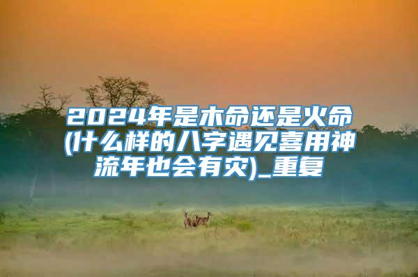 2024年是木命还是火命(什么样的八字遇见喜用神流年也会有灾)_重复