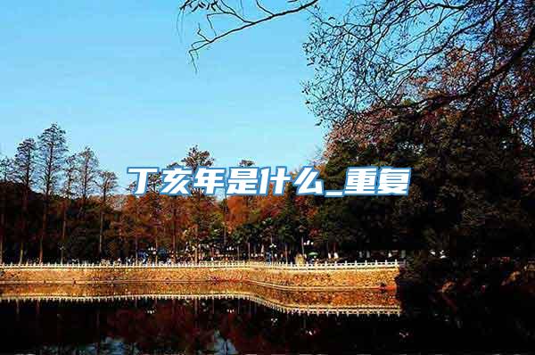 丁亥年是什么_重复