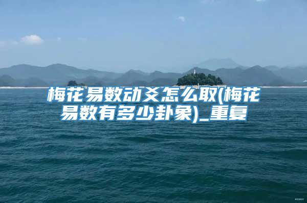 梅花易数动爻怎么取(梅花易数有多少卦象)_重复