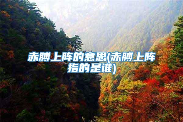 赤膊上阵的意思(赤膊上阵指的是谁)