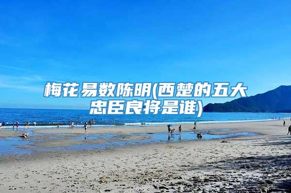 梅花易数陈明(西楚的五大忠臣良将是谁)