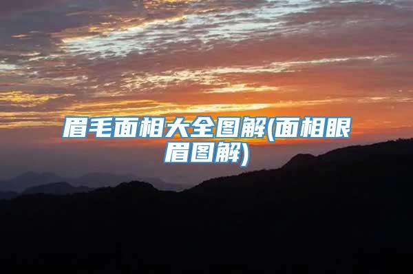 眉毛面相大全图解(面相眼眉图解)