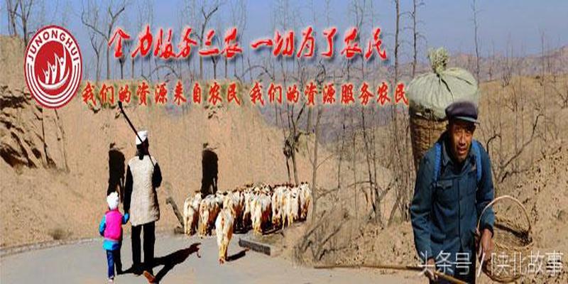 求签算卦问神神