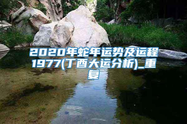 2020年蛇年运势及运程1977(丁酉大运分析)_重复