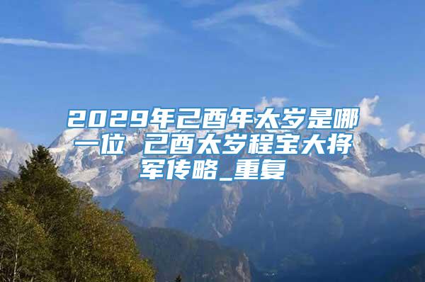 2029年己酉年太岁是哪一位 己酉太岁程宝大将军传略_重复