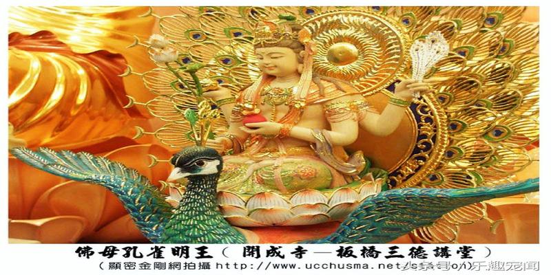 孔雀毛很美丽,但它的特殊寓意你知道吗?摆放也有说法