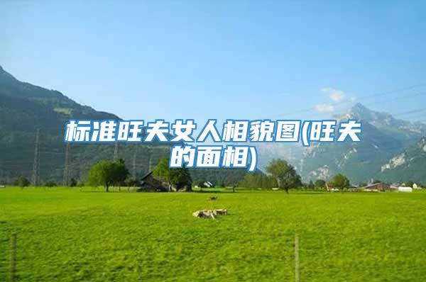 标准旺夫女人相貌图(旺夫的面相)