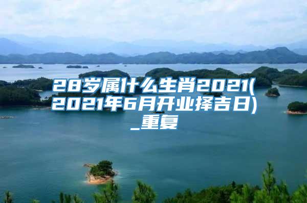 28岁属什么生肖2021(2021年6月开业择吉日)_重复