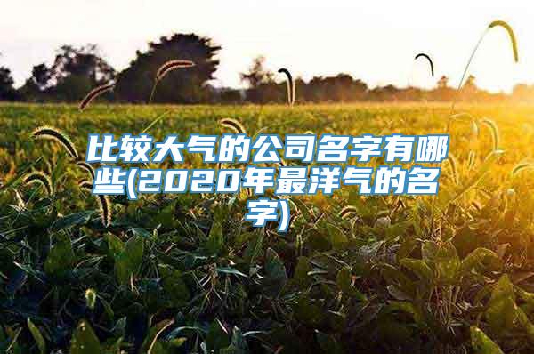 比较大气的公司名字有哪些(2020年最洋气的名字)