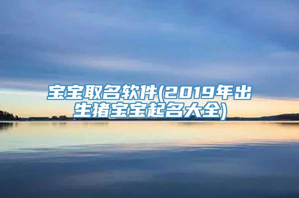 宝宝取名软件(2019年出生猪宝宝起名大全)