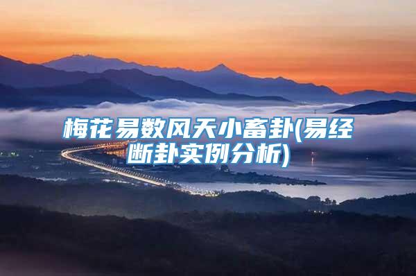 梅花易数风天小畜卦(易经断卦实例分析)