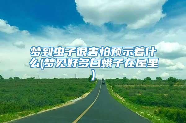 梦到虫子很害怕预示着什么(梦见好多白蛾子在屋里)