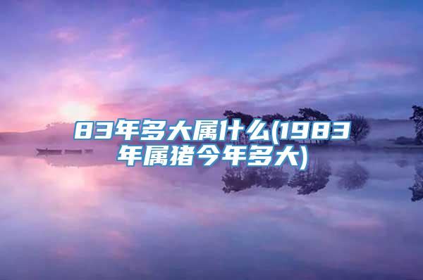 83年多大属什么(1983年属猪今年多大)