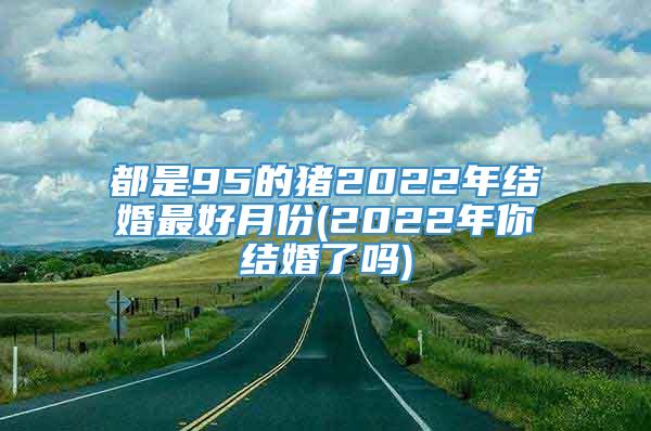 都是95的猪2022年结婚最好月份(2022年你结婚了吗)