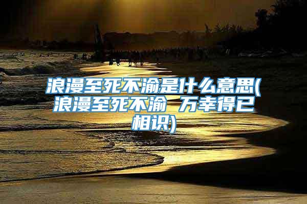 浪漫至死不渝是什么意思(浪漫至死不渝 万幸得已相识)