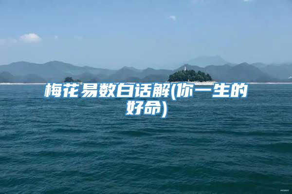 梅花易数白话解(你一生的好命)