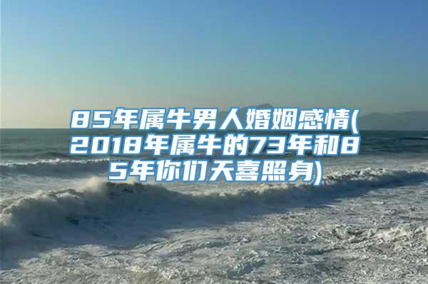 85年属牛男人婚姻感情(2018年属牛的73年和85年你们天喜照身)