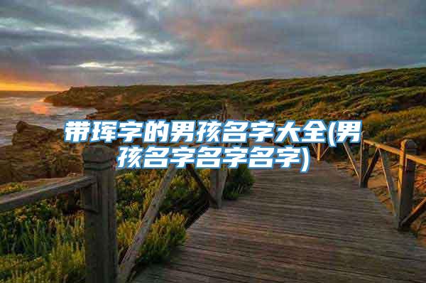 带珲字的男孩名字大全(男孩名字名字名字)