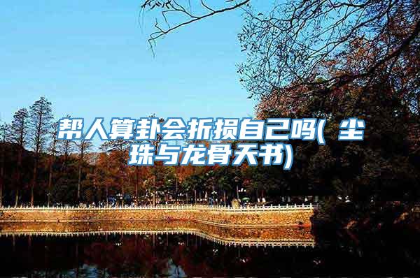 帮人算卦会折损自己吗(雮尘珠与龙骨天书)